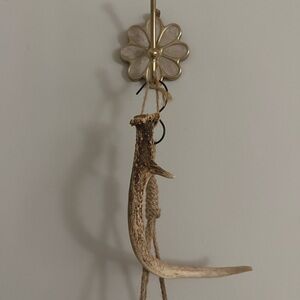 Natural Deer Antler Wall Hanging - Rustic Décor